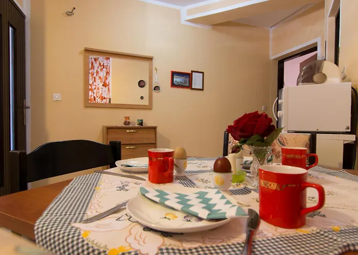 App Kristina C 파자나